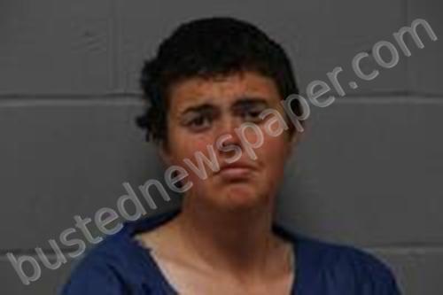 KIMBERLY NICOLE FRITZMEYER #, Johnson County, Missouri - 2024-04-17 13:00:00