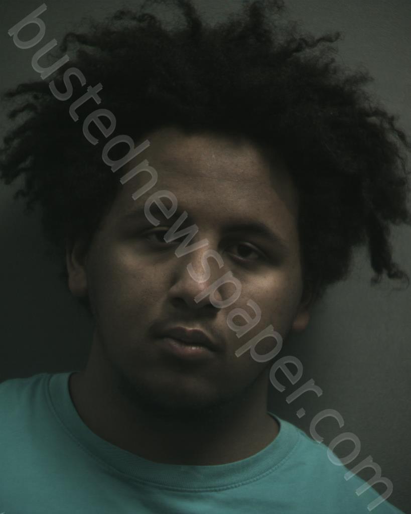 JOHNSON, JALEN SHANE #, Randall County, Texas - 2024-04-17