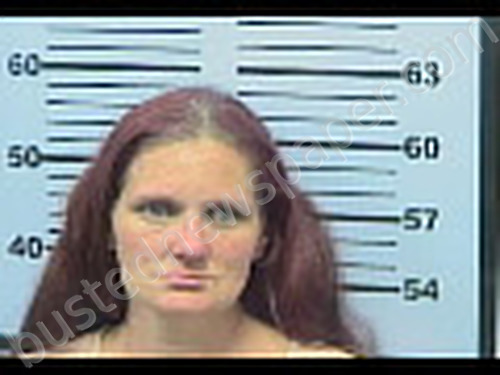 CHAVIS, JENNIFER LEIGH #, Mobile County, Alabama - 2024-04-17