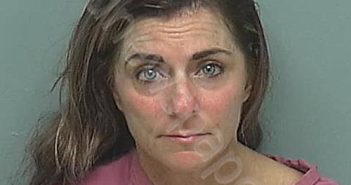 GEERLINGS, ERIN DONNA | 2024-04-17 03:08:30 Montgomery County, Texas Booking