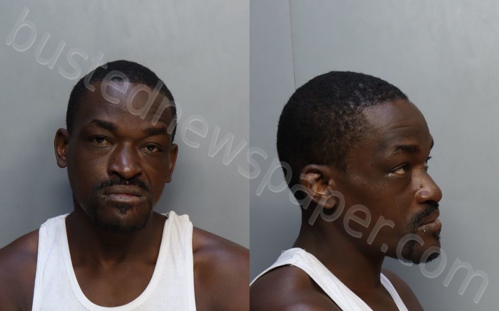 JOHNSON, REMY #, Miami-Dade County, Florida - 2024-04-19 04:53:00