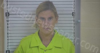 WRIGHT, TINA RAMONE | 2024-04-19 20:06:00 Taylor County, Kentucky Booking