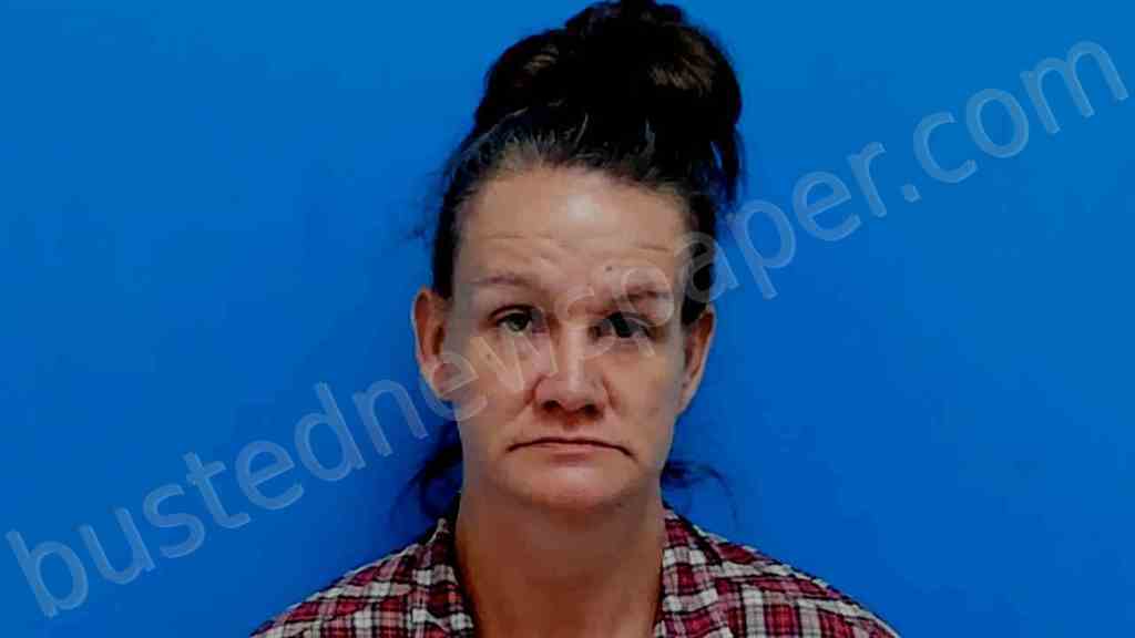 ANTHONY, NATASHA LYNN #, Catawba County, North Carolina - 2024-04-20