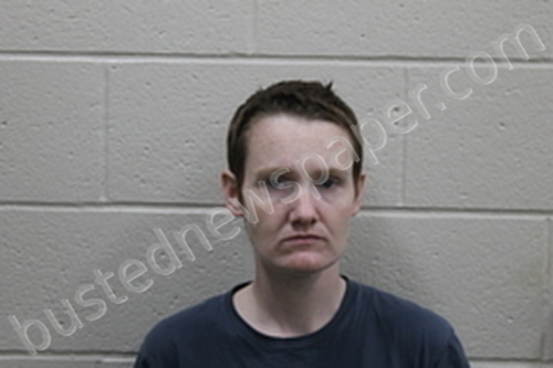 STEPHANY LYNN MITCHELL #, Andrew County, Missouri - 2024-04-21 00:32:00