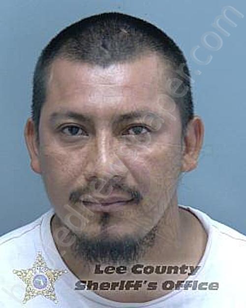 NATAROENO-LOPEZ, EDDY FERNANDO #, Lee County, Florida - 2024-04-21 15:22:00