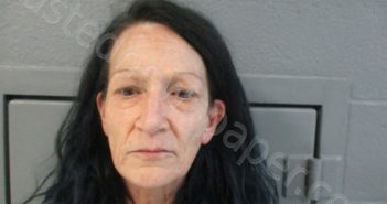 JOHNSON, STEPHANIE ANNE | 2024-04-23 21:24:00 Preston County, West Virginia Booking