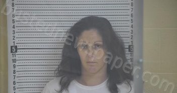 BOLDERY, BRITTANY LEIGH | 2024-04-23 06:16:00 Taylor County, Kentucky Booking