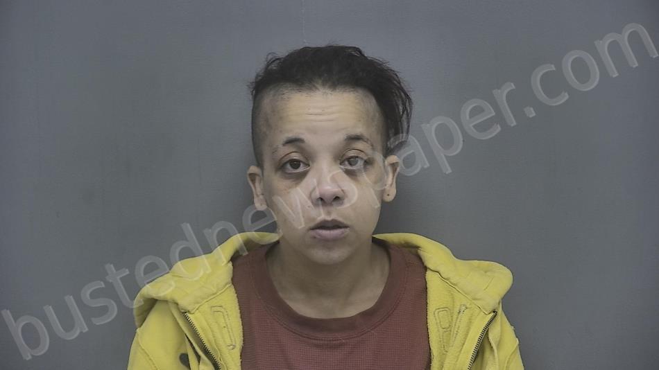 Shattuck, Amanda 20240423 085103 Vigo County, Indiana Booking