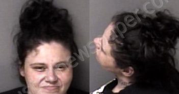 <B>MIXON</B>, <B>TIFFANY</B> <B>ANN</B> #, Gaston County, North Carolina - 2024-04-24 01:27:00