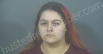 FEIJOO, <B>JULIA</B> LAURA ELIZABETH #, St <b>Joseph</b> County, Indiana, St. Joseph County, Indiana - 2024-04-24 15:12:00