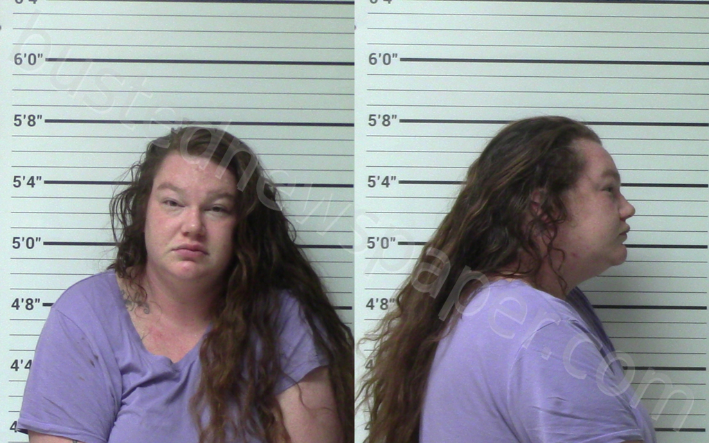 HATFIELD, LACY KALEN #, Kerr County, Texas - 2024-04-25