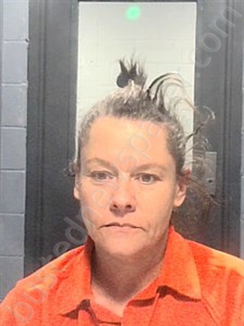 COOK-COMBS, ROLIA LEEANN #, Johnson County, Arkansas - 2024-04-25 17:26:00