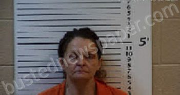 HILLERY, JESSICA LAUREN | 2024-04-25 09:28:00 Cherokee County, North Carolina Booking