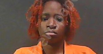 WEBSTER, SHAVONDA NIKEL | 2024-04-25 17:23:00 Johnson County, Arkansas Booking