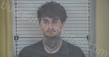 DEAN, DYLLAN CHESTER | 2024-04-27 20:16:00 Taylor County, Kentucky Booking