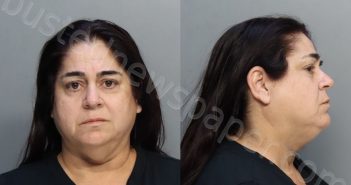 ABREU, ODALYS | 2024-04-29 17:40:00 Miami-Dade County, Florida Booking