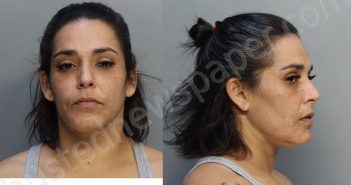 HERNANDEZ, LUZ MARIA | 2024-04-29 18:13:00 Miami-Dade County, Florida Booking