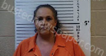 DOCKERY, TRACY LAVEAN | 2024-04-29 14:11:00 Cherokee County, North Carolina Booking