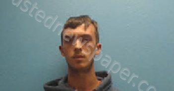 <B>WILLIAMS</B>, <B>TREVOR</B> <B>GAGE</B> #, Desoto County, Florida - 2024-04-29 11:38:00