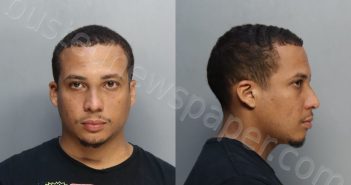 MILIAN, ROGER | 2024-04-29 13:10:00 Miami-Dade County, Florida Booking