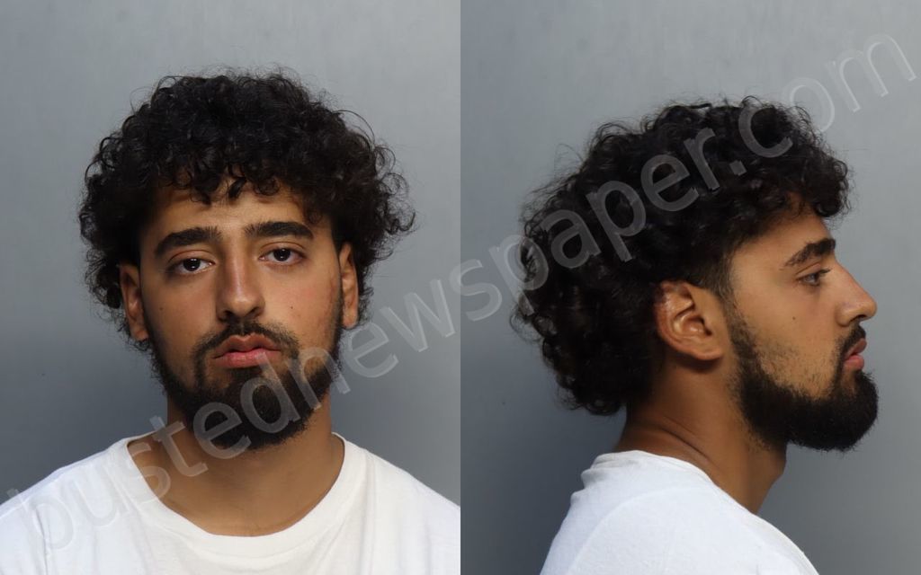 ALVAREZ, DANIEL #, Miami-Dade County, Florida - 2024-04-29 17:13:00