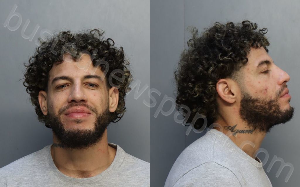 AGUIRRE, BRYAN ANTHONY #, Miami-Dade County, Florida - 2024-04-29 17:52:00