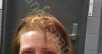 SAUER, JASPER MARRIE | 2024-04-30 19:48:00 Johnson County, Arkansas Booking