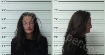 PETERMAN, SUZANNE MICHELLE | 2024-05-01 Kerr County, Texas Booking