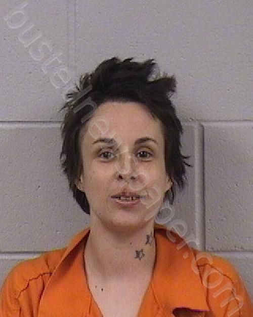 NELSON, CHELSEA ROSE #, Dickinson County, Kansas - 2024-05-01 11:38:00