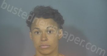 <B>JOHNSON</B>, <B>NATASHA</B> <B>PAULINE</B> #, St. Joseph County, Indiana - 2024-05-01 03:21:00