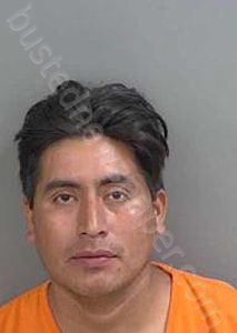 FALCONJIMENEZ,CHAYAN | 2024-05-01 Collier County, Florida Booking