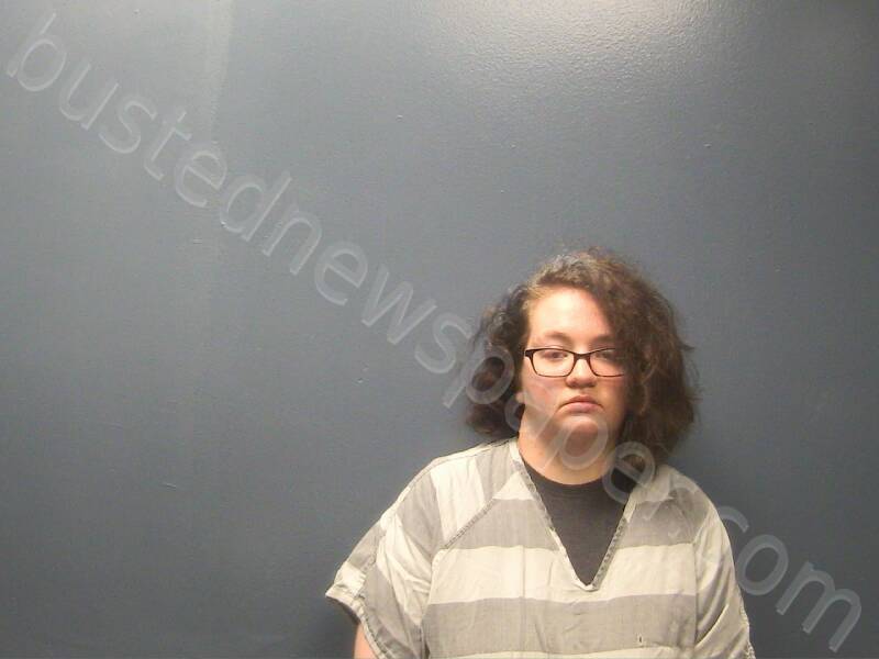 BROWN, SUMMER C #, Sevier County, Tennessee - 2024-05-02 21:58:00