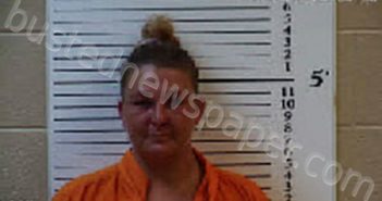 REED, AMBER NICHOLE | 2024-05-02 21:44:00 Cherokee County, North Carolina Booking