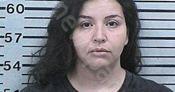 GONZALEZ, KAREN JOCELYN | 2024-05-03 20:47:26 Hood County, Texas Booking