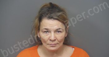 RIVERA, BRENDA MARIE | 2024-05-03 10:51:00 Hendricks County, Indiana Booking