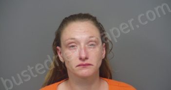 MUSE, MEGAN SUE | 2024-05-03 05:07:00 Hendricks County, Indiana Booking