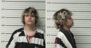 CRUZ-LIBERIS, PAULINA CAROLA | 2024-05-03 Kerr County, Texas Booking