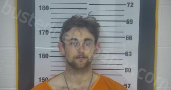 STRAUSBAUGH, LOGAN JAMES | 2024-05-04 04:11:00 Ottawa County, Ohio Booking