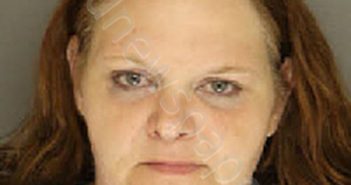 GOINS, TINA MARIE | 2024-05-04 02:26:00 Moore County, North Carolina Booking