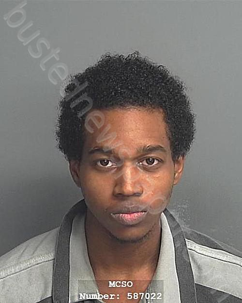 WOODS, JONATHAN LADERIS #, Montgomery County, Texas - 2024-05-06 00:30:00