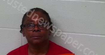 NELSON, CONSTANCE VERNELL | 2024-05-06 14:01:02 Fayette County, Ohio Booking