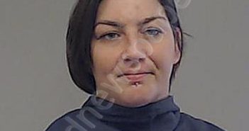 CANTELMO, TONI LYNNE | 2024-05-07 14:00:00 Collin County, Texas Booking