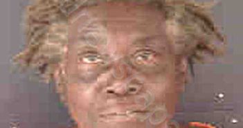 GREEN, LINDA RENAY | 2024-05-07 Sarasota County, Florida Booking