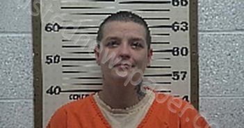 <B>MITCHELL</B>, <B>ASHLEY</B> <B>NICOLE</B> #, Belmont County, Ohio - 2024-05-08