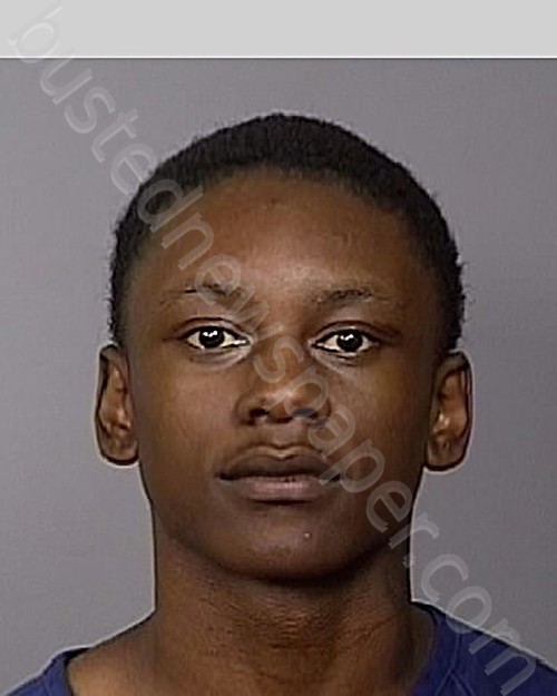 AUSTIN, RODQUEZE J #, Manatee County, Florida - 2024-05-08