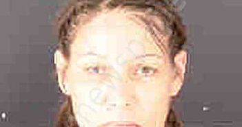 JORDAN, CHRISTINA MARIE | 2024-05-09 Sarasota County, Florida Booking