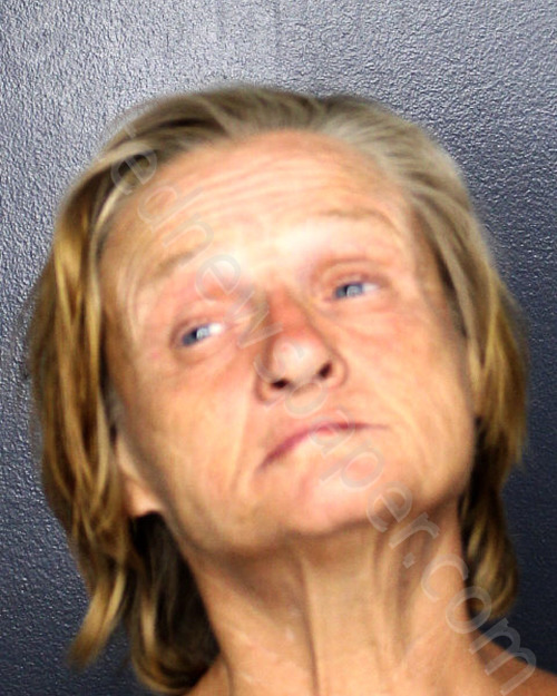 BURTON, LISA ANN #, Broward County, Florida - 2024-05-09