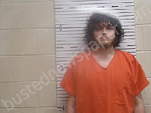DAVIS, ANDREW JAMES #, Butler County, Alabama - 2024-05-09