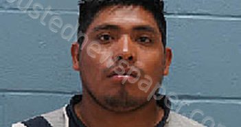 ROLANDO DOMINGO SALES | 2024-05-09 Lee County, Alabama Booking