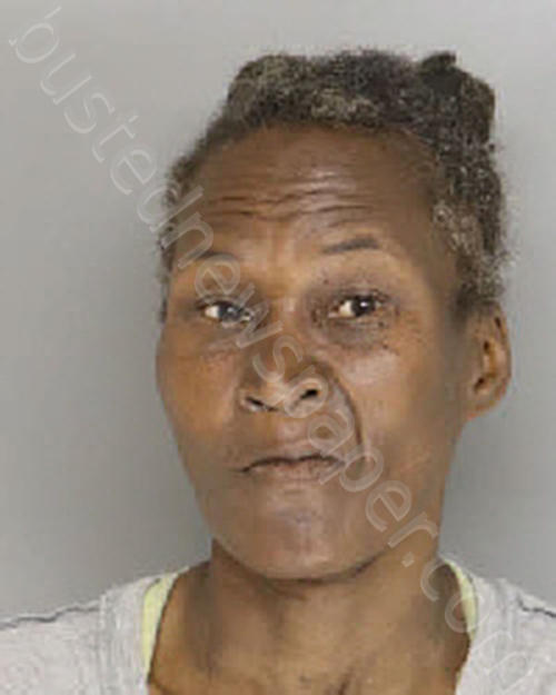 MULLINGS, LISA ANN #, Moore County, North Carolina - 2024-05-10 17:26:00